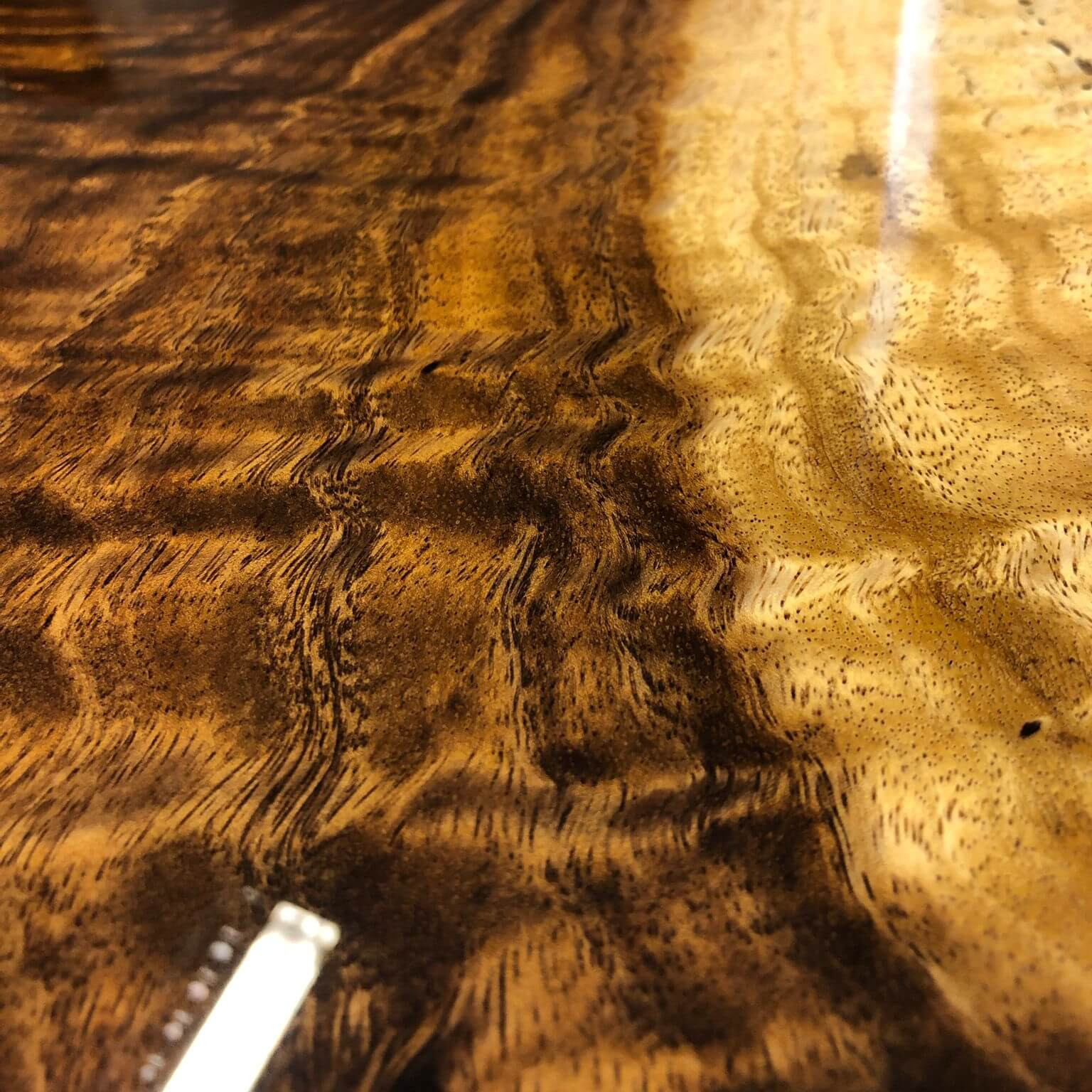 suar-hout-structuur..jpg